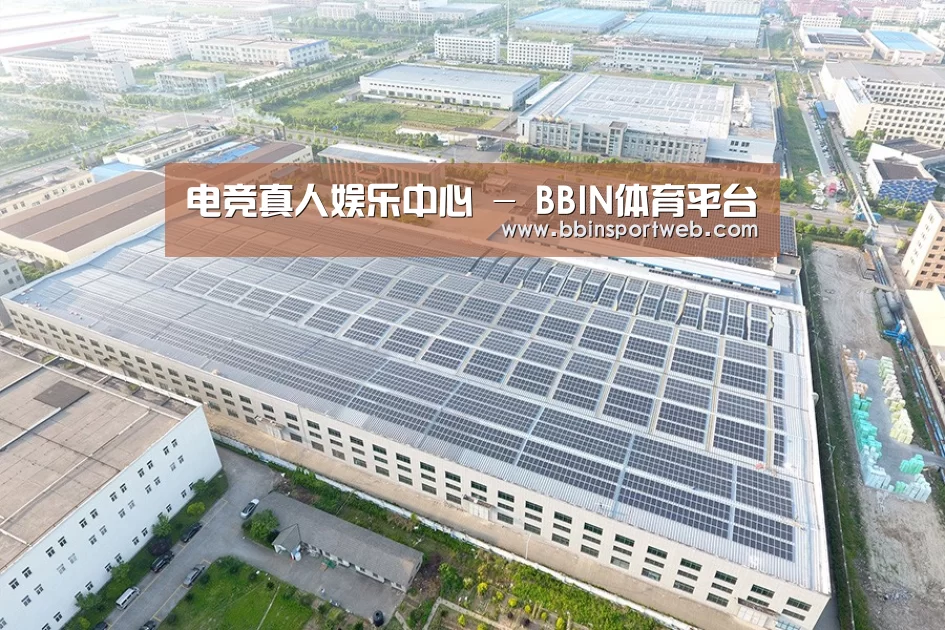 案例展示二