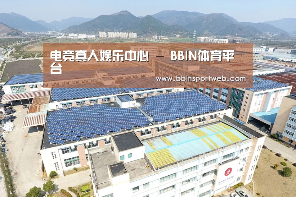 案例展示三