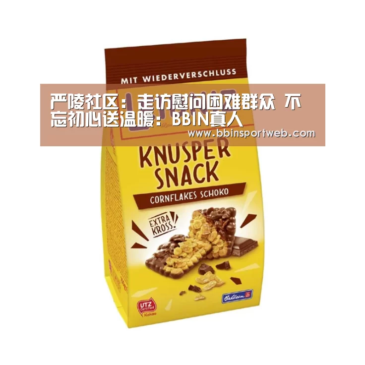 严陵社区:走访慰问困难群众 不忘初心送温暖:BBIN真人(图4) BBIN赛事