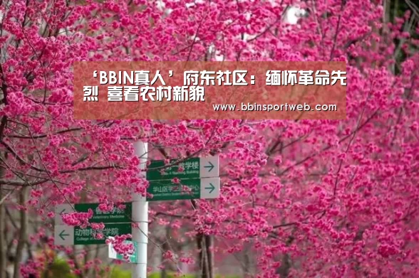 ‘BBIN真人’府东社区:缅怀革命先烈 喜看农村新貌(图1) BBIN棋牌