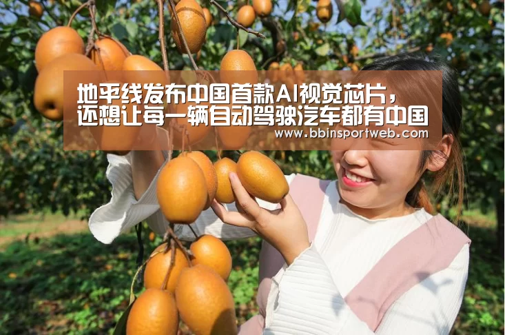 地平线发布中国首款AI视觉芯片,还想让每一辆自动驾驶汽车都有中国芯:BBIN棋牌(图3) BBIN真人