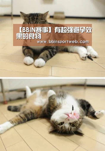 【BBIN赛事】有超强避孕效果的食物(图2) BBIN棋牌
